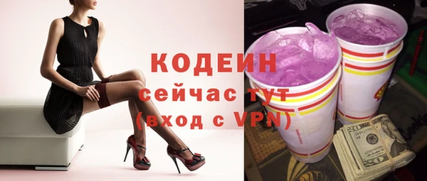 прущий лед Богданович