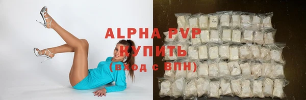 прущий лед Богданович