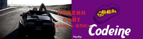 прущий лед Богданович