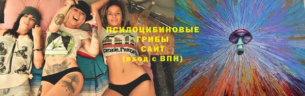 прущая мука Богородицк