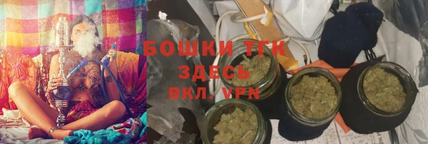 прущий лед Богданович