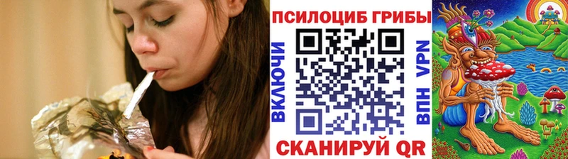 Галлюциногенные грибы Psilocybine cubensis Кудрово