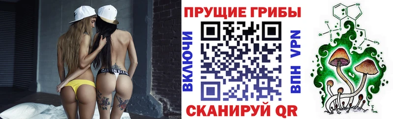 купить наркотик  Кудрово  Псилоцибиновые грибы MAGIC MUSHROOMS 